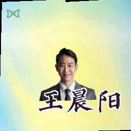 王晨阳